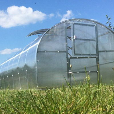 Polycarbonaat Tuinkas Baltic LT 3 x 8 Meter