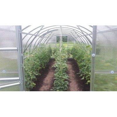 Polycarbonaat Tuinkas Baltic LT 3 x 12 Meter