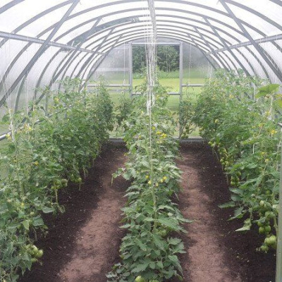 Polycarbonaat Tuinkas Baltic LT 3 x 12 Meter