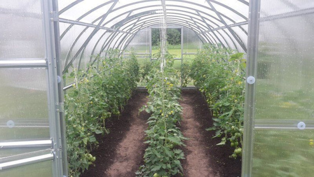 Polycarbonaat Tuinkas Baltic LT 3 x 12 Meter 3001200LT