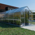 Polycarbonaat Tuinkas Klasika Bernard 2,35 x 6 Meter 23506B4/6