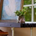 Verrijdbare Sidetable Tuin  195441